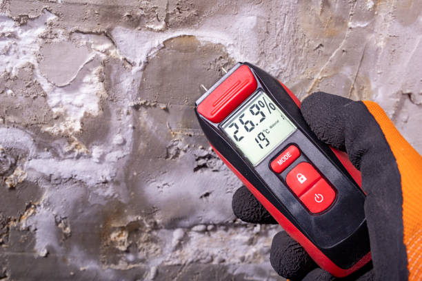 Best Office Mold Removal Services  in Fairfield University, CT