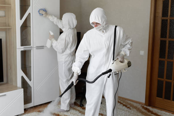 Best Toxic Mold Removal  in Fairfield University, CT